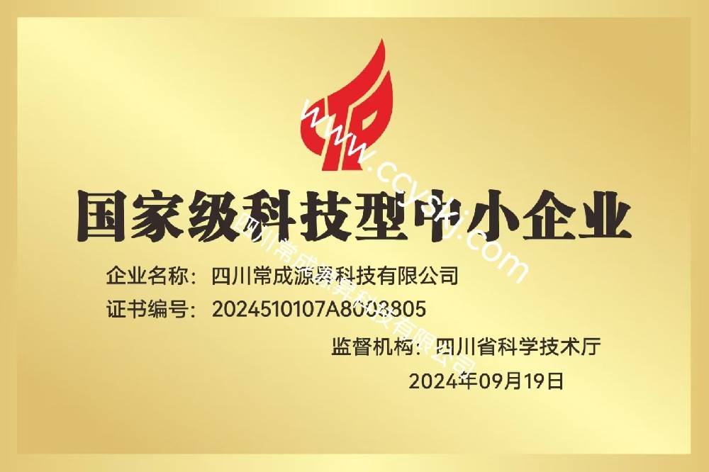 《常成源昇：軟件行業的創新領航者》
