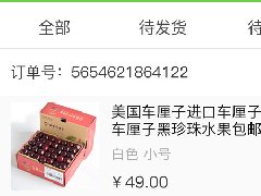成都APP外包中如何完成項目結果